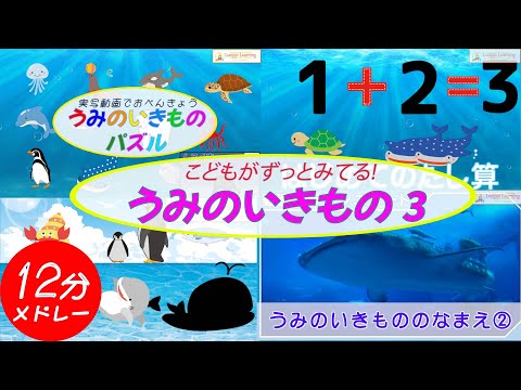 [Japanese] Sea_animals Educational videos Flashcards Live-action videos for baby toddlers kids