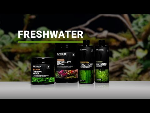 Filtration for Freshwater Aquariums.