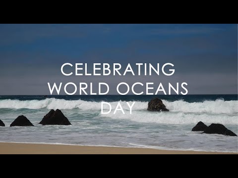 An ode to the ocean - celebrating World Oceans Day