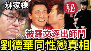 林家棟同性戀秘聞！羅文「逐出師門」與劉德華暗交多年！被拍下接吻照片？ 與馮寶寶親友「有關係」難道是雙性戀？