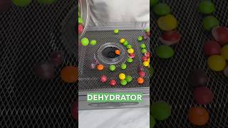 $100 Dehydrator vs. $4,000!Freeze Drier 🥶🫣 #freezedried #dehydrator #freezedriedcandy