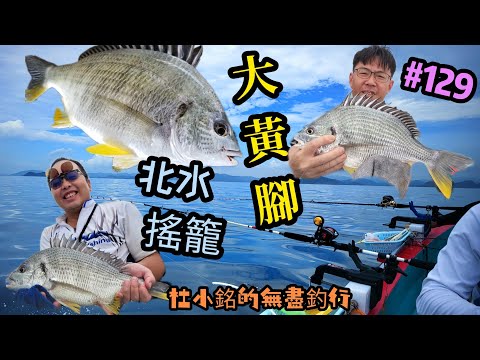 杜小銘的無盡釣行#129_#釣魚 #香港釣魚 #釣り #艇釣 #船釣 #雞魚 #白鱲 #誘餌籠 #搖籠 #五目釣り #伊佐木 #赤鱲 #真鯛  #鱲魚 #黃腳鱲  #北水 #頭鱸 #港水