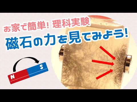 【簡単工作＆実験】磁力線ボトルづくり ～磁石の力を見てみよう！～