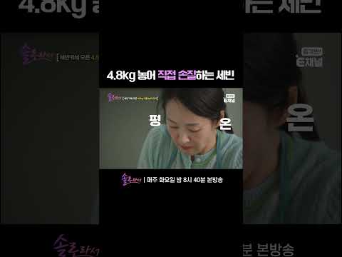 👸 4.8kg 농어를 거침없이 손질하는 명세빈 | E채널 [솔로라서] #shorts