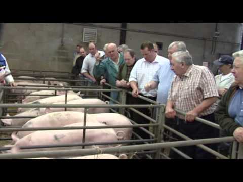 Selby Auction Mart