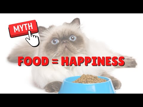 Does Food Make Cats Happy? | Two Crazy Cat Ladies