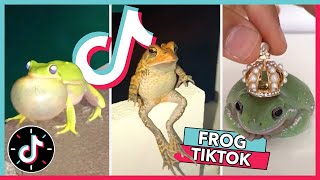 WELCOME TO FROG TIKTOK 🐸  TikTok Compilation 2020