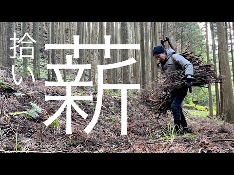 囲炉裏に使う薪を拾いに山へ　杉林の現状　Japan countryside vlog