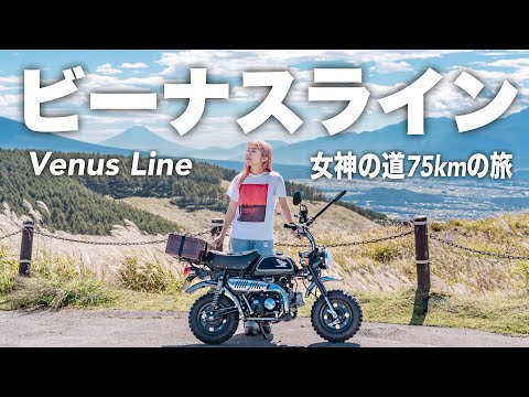 【長野バイク旅】秋のビーナスライン全75kmを原付モンキーとハイキングで走破してみた