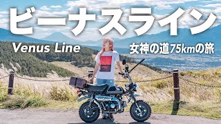 【長野バイク旅】秋のビーナスライン全75kmを原付モンキーとハイキングで走破してみた