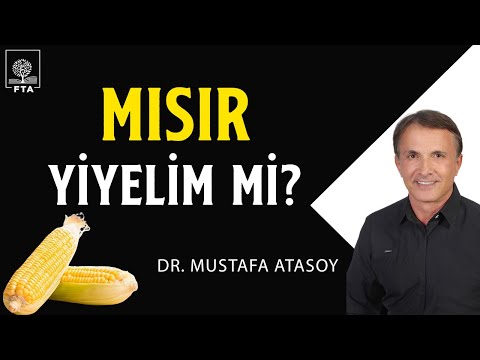 Mısır gerçekten söylendiği gibi zararlı mı? Bağırsak sağlığı, diyabet ve sağlık üzerine etkileri