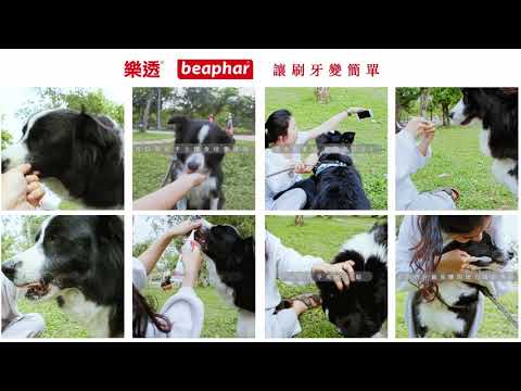 樂透Beaphar 讓刷牙變簡單-乖乖狗篇