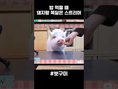 밥 먹는 모습이 ㅇㅇ같은 스트리머