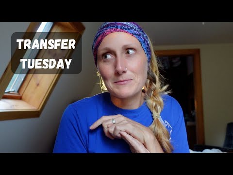 Working on those money moves | Transfer Tuesday