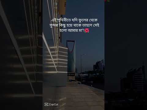 এরকম হবে ববিসতের বাংলাদেশে # আমাদের দেশ # ৫ আগস্ট সাদিনতা দিবস # বাঙালি জাতি 🇧🇩🫡#