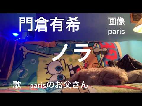 門倉有希　ノラ　原曲キーで歌ってみた