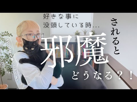 ASD｜好きなことに没頭している時に邪魔をされると…｜大変なことになるよ｜発達障害特性｜ASD当事者