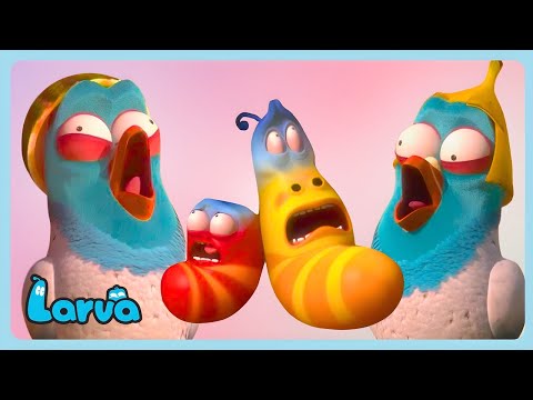 🐦 CRAZY BIRDS! 🐦 |  | Larva MEGA Compilation Kid Movies | WildBrain Bananas