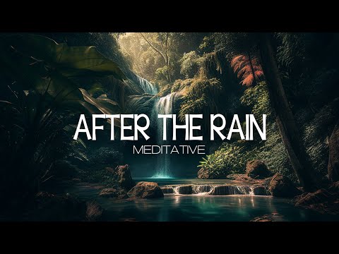 After the Rain | Ambience Music, Sound for Meditation, Serenity Music, Sleep Aid, Pluviophile