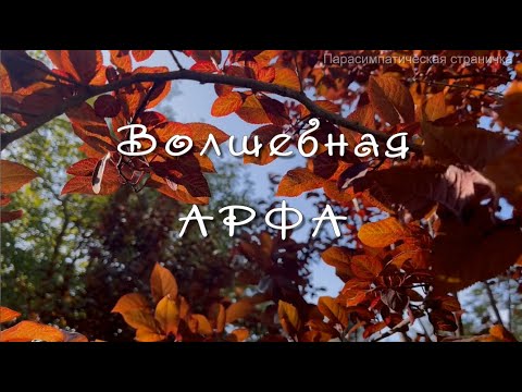 Волшебная арфа  удивительная музыка  Музыка для души