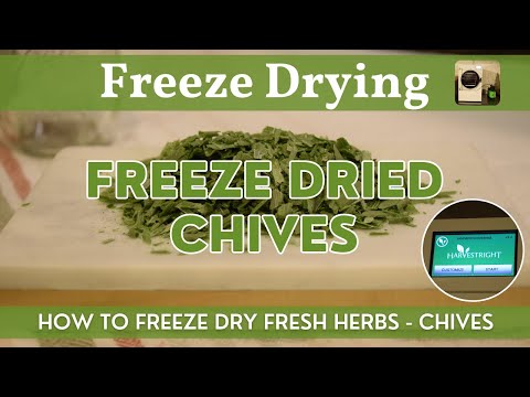 Freeze Dried Chives | Harvest Right Freeze-Dried Herbs | How to Freeze Dry Fresh Chives Step by Step