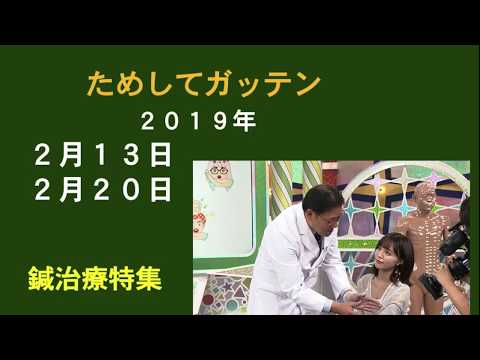 いきいき健康チャンネル　＃７『統合医療−２』