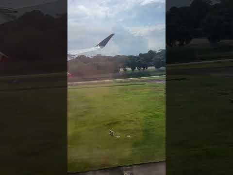 Flight landing at Frankfurt Airport!