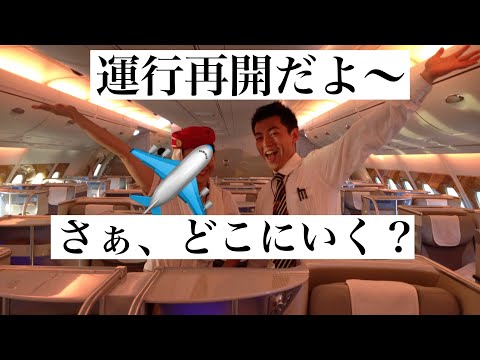 運行再開✈️続出！男性CA