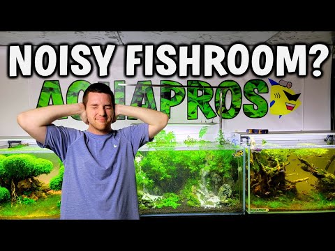 STOP THE NOISE! How To Silence Your Fish Tanks