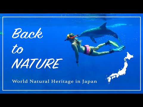 Back to NATURE | 世界自然遺產 | 日本