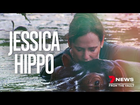 Jessica Hippo: The story of the world's friendliest Hippo and the woman who raised her