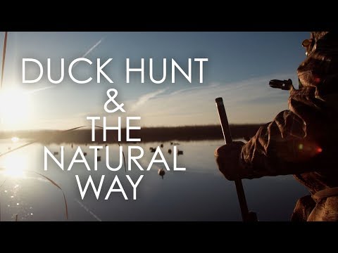 Wisconsin Foodie - Duck Hunt & The Natural Way - FULL EPISODE