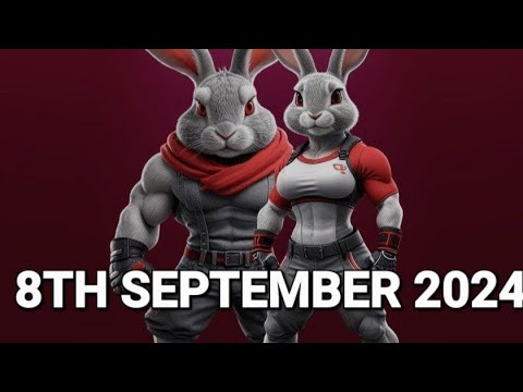 8 September 2024|| HOW TO COMPLETE THE ROCKY RABBIT DAILY COMBO||  ENIGMA|| EGGS DAILY COMBO|