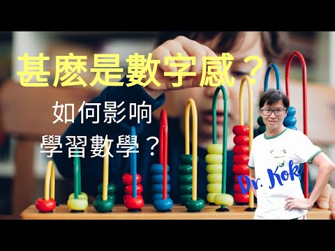 [學習障礙篇]   如何可以增加小孩子的數字感覺Number Sense？  l  小學階段的運算障礙 (Dyscalculia)源於他們對數字的感覺很弱   I   遊戲訓練法簡介