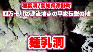 稲葉洞/高知県津野町【鍾乳洞】平家伝説が残る洞窟まで歩く【旅行VLOG】国道439号線,県道378号線,義堂と絶海の像,四万十川,源流点,不入山,鍾乳洞,綾姫龍神神社,神社,平家伝説