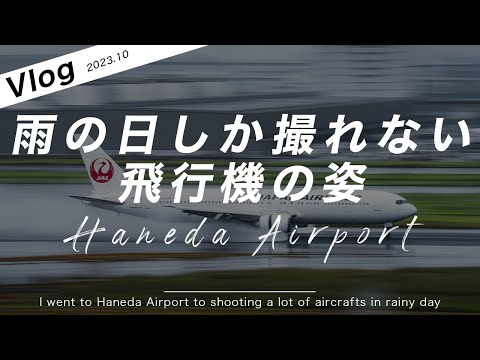 【保存版】羽田空港で雨でしか撮れない飛行機を撮影していく！