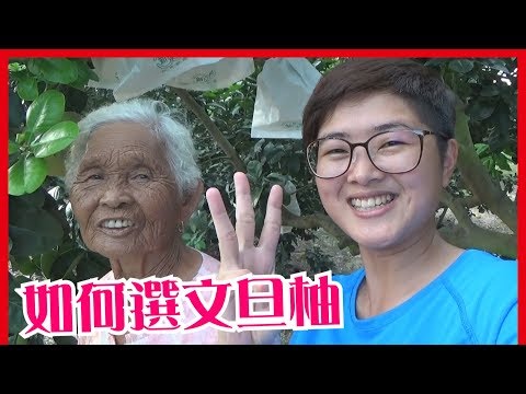 如何挑選好吃的文旦柚│【6秒挑出好食材】#3│6YingWei快樂姊+快樂嬤