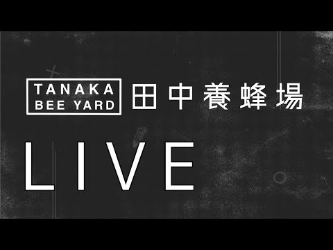 田中養蜂場ライブ　2024年末スペシャル