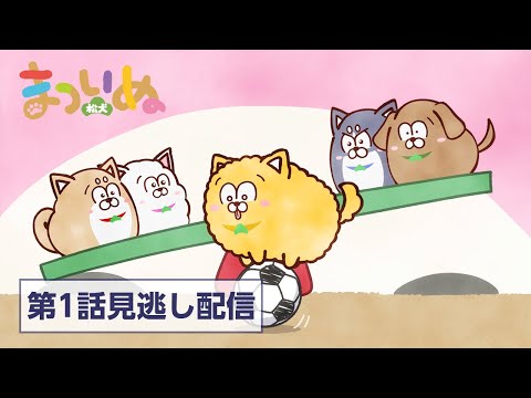 【見逃し配信】TVアニメ「まついぬ」第1話「まついぬとシーソー」