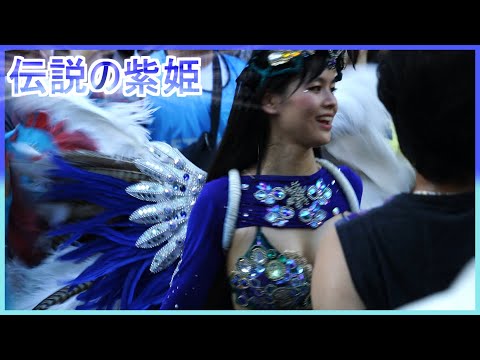 4K 美人大学生サンバ 伝説の紫姫 カーニバル ウニアンメンバー 平間銀座サマーフェスタ 2023 Japanese Samba street festival