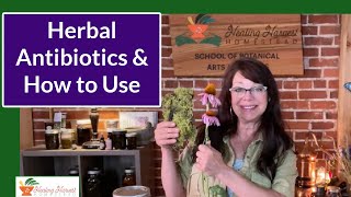 Herbal Antibiotics & How to Use