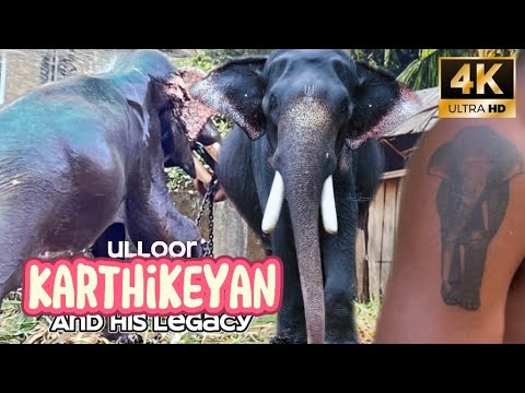 Ulloor karthikeyan | ഉള്ളൂർ കാർത്തികേയന്റെ ചരിത്രവും വാസസ്ഥലവും | #elephant #gajam #trivandrum