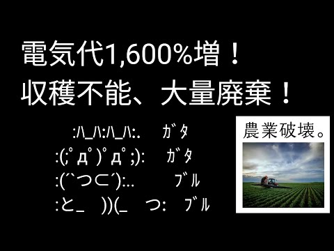 電気代16倍のため農作物収穫不能！そして大量廃棄！｜ヨーロッパは思っている以上に悲惨だった【Twitter】【バブニュース】