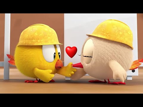 Do you have a boo-boo? | Where's Chicky? | Cartoon Collection in English for Kids | HD