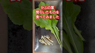 自家栽培かぶの葉食べてみました#gardening #家庭菜園 #turnip #かぶ #マヨネーズ