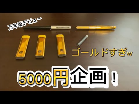 5000円企画！ぺんてるケリー　アインシュタイン　しかも、万年筆w