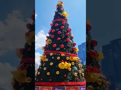 #KLCC Twin Tower Christmas in Malaysia #吉隆坡 #吉隆坡双峰塔