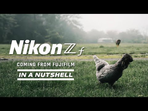 Nikon ZF - In A Nutshell