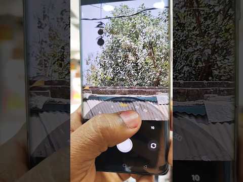 Oppo Reno 10 Pro Plus 120x Zoom camera Marisilicon Oppo camera phone #youtubeshorts #trending