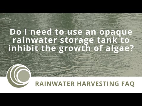 On the Importance of Tank Opacity in a Rainwater Harvesting System